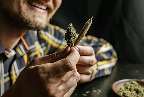 Cannabis-Law-scaled-1