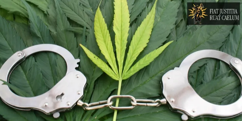hire best sacramento marijuana crimes lawyer