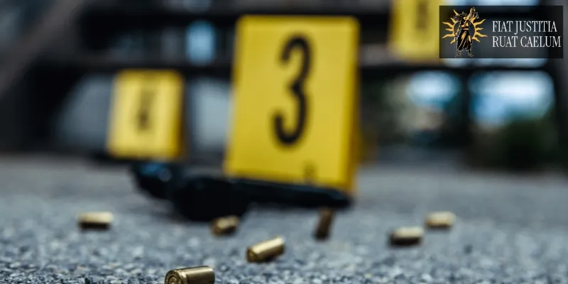 hire best redding gun crime lawyer