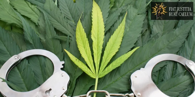 hire redding marijuana crimes lawyer hire redding marijuana crimes lawyer